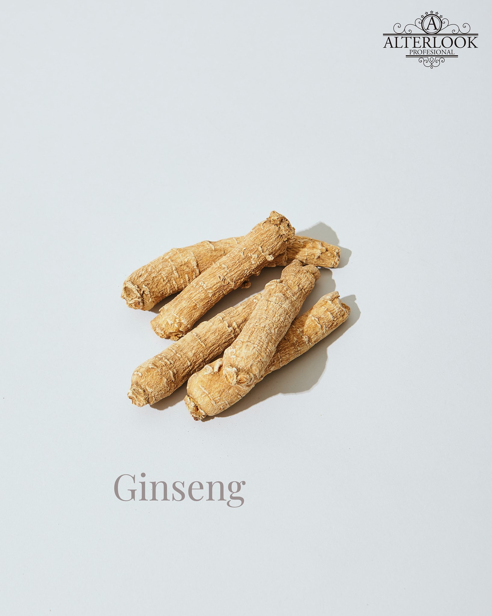 Blueprint of Hairdressing ONLYS