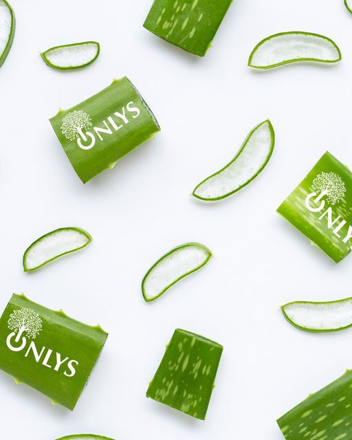 Blueprint of Hairdressing ONLYS